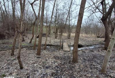 Casă cu 4 camere în Preajba - 11