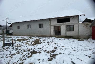 Casă cu 3 camere cu Teren 10000 Mp în Central - 8