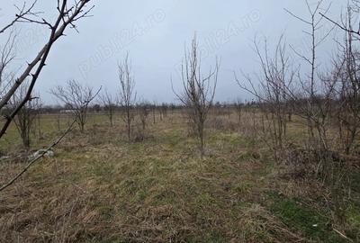 Casă cu 2 camere în Central - 6