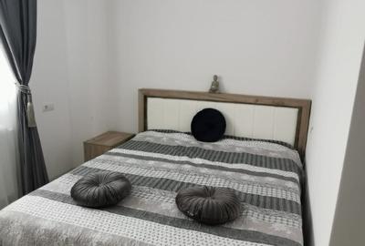 Ofer spre inchiriere apartament cu 2 camere Scriitorilor - 9