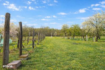 Casă cu 5 camere cu Teren 2877 Mp în Mănăștiur - 8