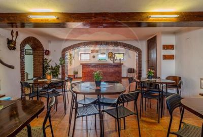 VILA SCANDINAVIA / Pensiune / Moieciu de Sus - 24