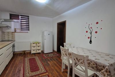 Locuință Boemă la Demisol, 2 Camere în Vilă -Comision 0% Chirias - 9