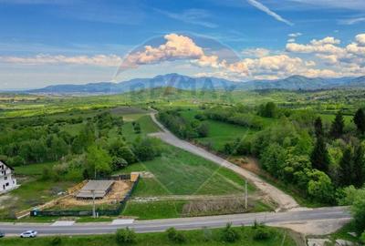 Teren Construcții intravilan de 646 mp, în Tohănița - 1