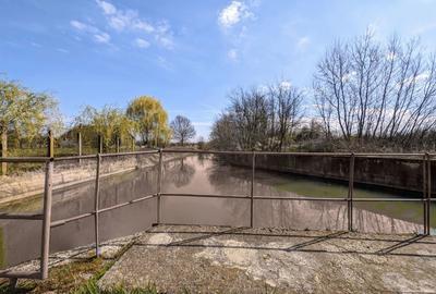 Teren intravilan Balint 22.500 mp - 8