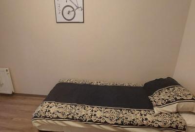 Apartament cu 3 camere decomandat în Decebal - 16