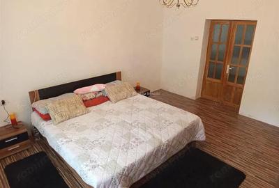 Casă cu Teren 1803 Mp în Anina