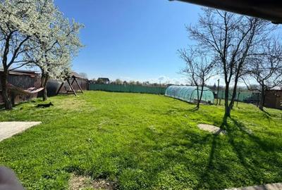 Casă cu 3 camere cu Teren 1100 Mp în Mireșu Mare - 15