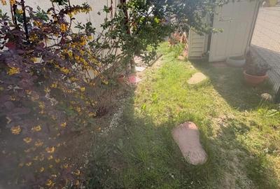 Apartament cu 2 camere decomandat, mobilat în Braytim - 1