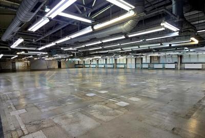 Spațiu industrial, în Marghita - 3