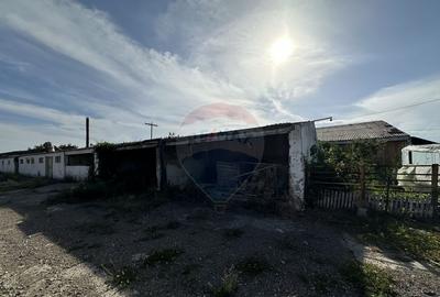 Spa?iu industrial Hale si Fabrica de lemn - 2