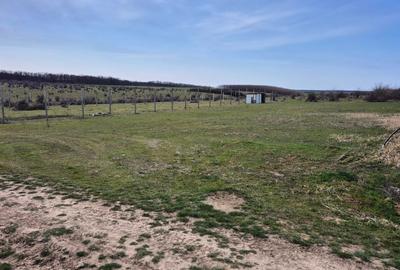 Teren de 880 mp, în Chișirid - 2