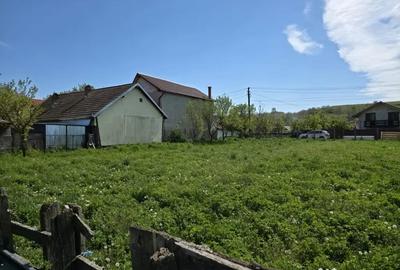 Teren de 1017 mp, în Ruși - 3