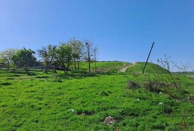 Teren de 1000 mp, în Sultana - 6