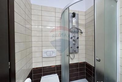 Apartament cu 3 camere decomandat, mobilat în Văcăresti - 9