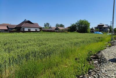 Teren agricol intravilan de 10294 mp, în Sud - 4