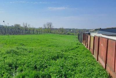 Teren de 2000 mp, în Frecăței - 4