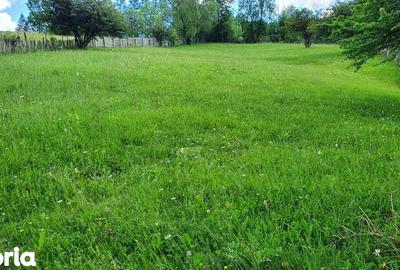 Teren de 2281 mp, în Valea Doftanei - 6