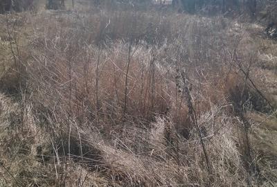 Vand casa+teren intravilan aproape 4000 m comuna suseni sat ?u?ule?ti judetul Arges pre? negociabil - 2