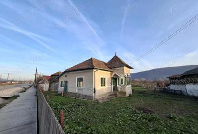 Casă cu Teren 4443 Mp în Pleșoiu (Nicolae Bălcescu) - 7