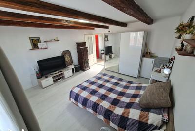 Casă cu 2 camere decomandat cu Teren 1230 Mp în Bocsig - 11