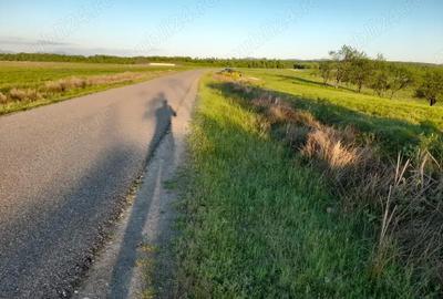 Teren de 9400 mp, în Remetea Chioarului - 4