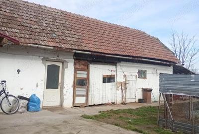 Casă cu 4 camere cu Teren 1600 Mp în Lenauheim - 2