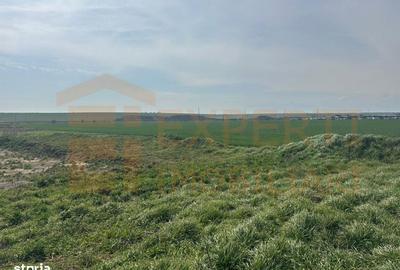 Teren de 10000 mp, în Valu lui Traian - 10