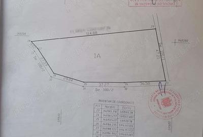 Teren de vanzare 4506mp str.Mierlei Tunari Ilfov - 5