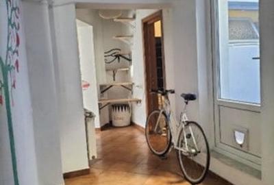 Casa 4camere|Drumul Sarii|Razoare|Cotroceni One|Centrala proprie|Curte - 8