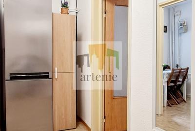 Tineretului- Radulescu Motru 2 camere/ mobilat / utilat - 10