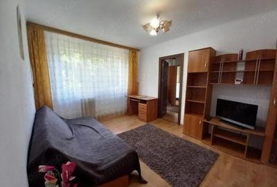 Apartament cu 2 camere nedecomandat în Peneș Curcanul - 8