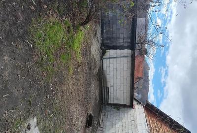 Casă cu 2 camere în Dâlja Mică - 10