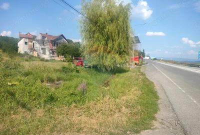 Teren de 7883 mp, în Reghin - 4