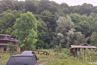Casă cu 6 camere cu Teren 2700 Mp în Bradu - 14