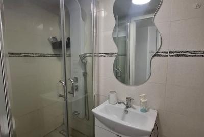 Garsonieră, mobilată în Dudești - 6