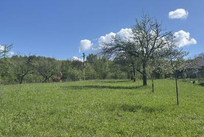 Spațiu comercial, în Baia Sprie - 3