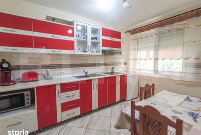 Casă cu 3 camere cu Teren 24000 Mp în Micula - 12