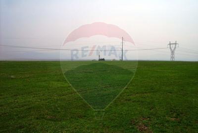 Teren extravilan, arabil de vanzare, in Dobolii de Jos, ...