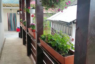 Casă cu 2 camere în Hârja - 3