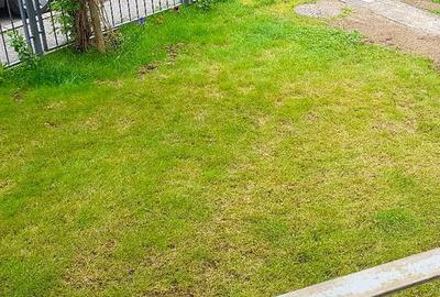 Apartament 3 camere Ultracentral Pitesti - 2