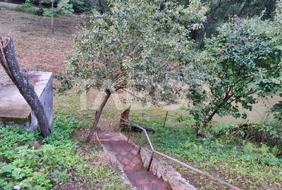 Cabana de vanzare in Ciuleni-Toplita langa lacul Cincis - 18