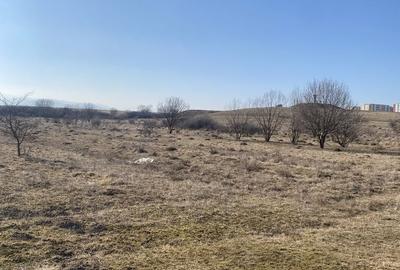 Teren agricol extravilan de 1000 mp, în Șelimbăr - 2