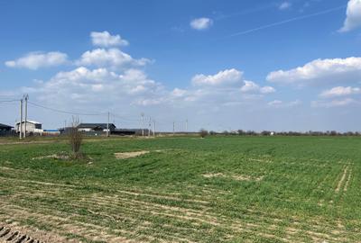 Teren Construcții intravilan de 5000 mp, în 1 Decembrie - 8