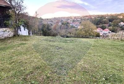 Teren de vanzare in Feleacu! 1000 MP - 3