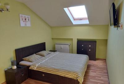 Apartament Penthouse 3 camere Nufarul - 4