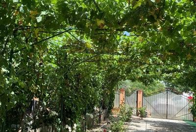 Casa vacanza Iepuresti(Giurgiu) Casa vacanza Iepuresti(Giurgiu) - 1