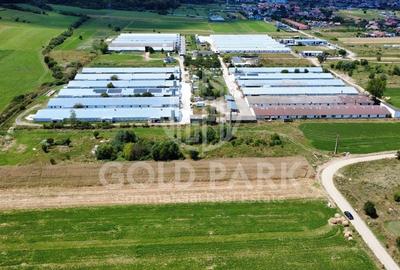 Teren Intravilan - Gilau - Autorizatie Construire Hale - 2