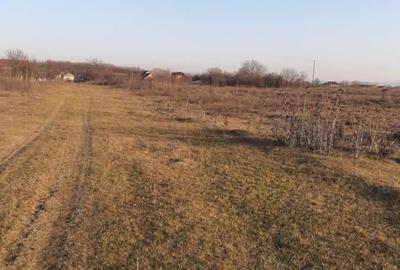 Teren de 8000 mp, în Central - 8