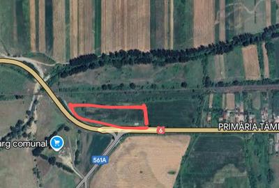 Teren de 20000 mp, în Valea Ursului (Tâmna) - 8